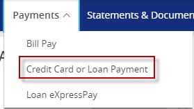 Credit Card or Loan Payment